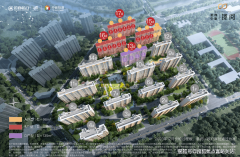 构成上海奇特的“三水八岸、十字水系局